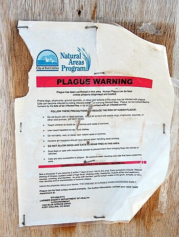 Plague warning in Colorado