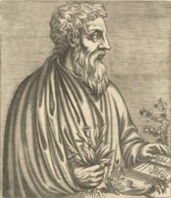 Dioscorides